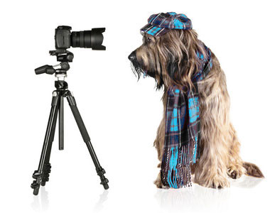 Fotografie